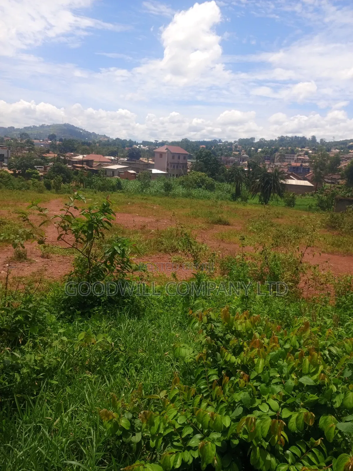 6 Acres of Land in Mbalala Mukono Touching on a Bigger Feeder Road