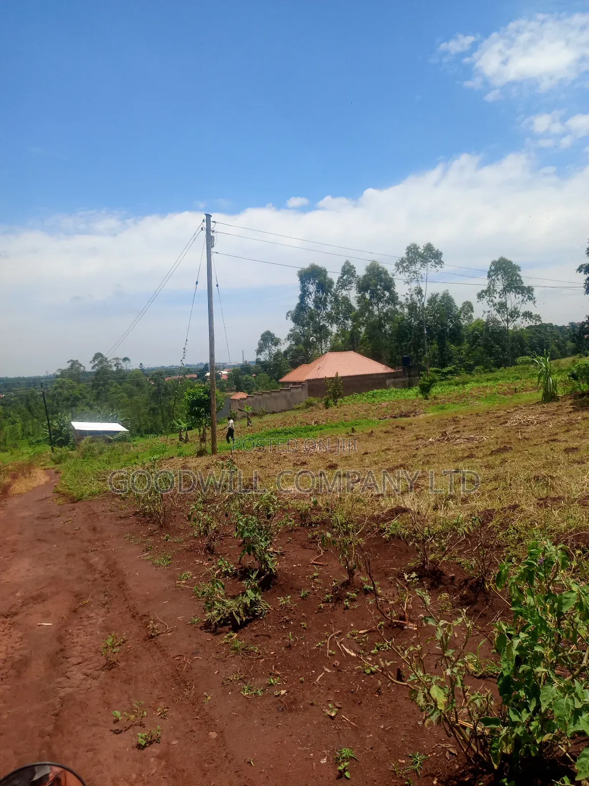 4 Acres of Land in Mbalala Mukono W/T Both Single 3phase Electricity