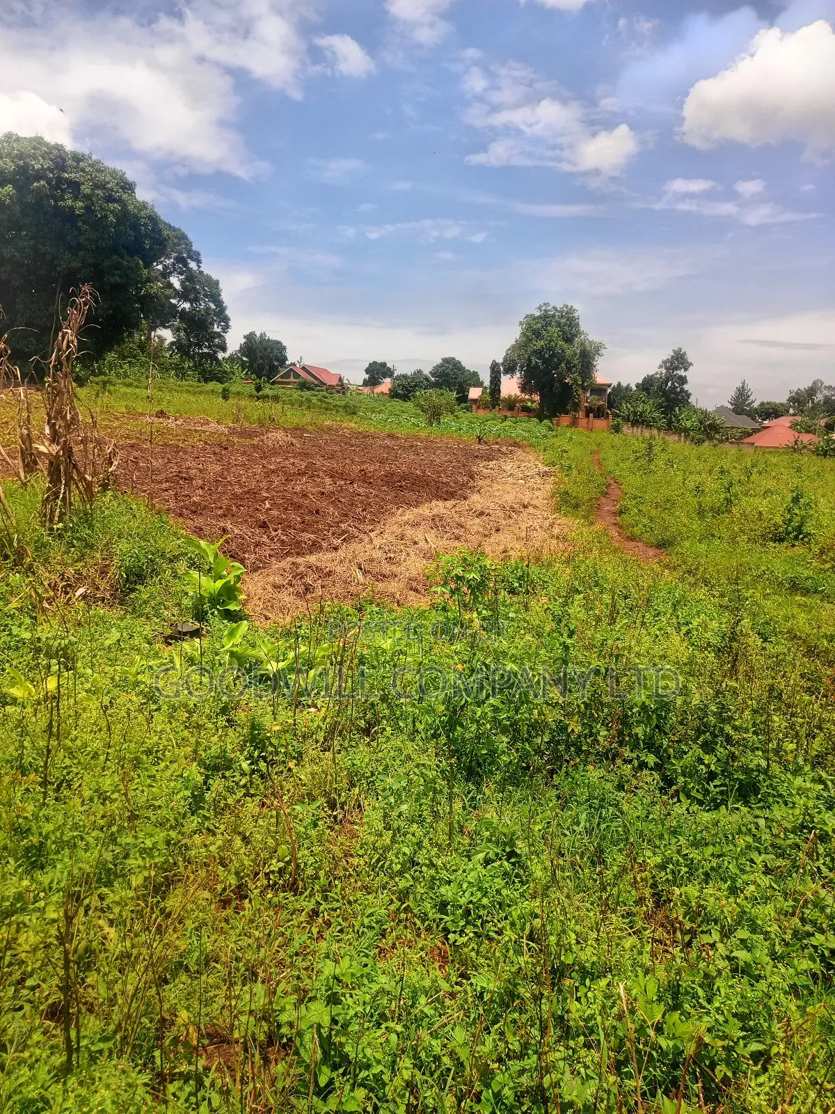 4 Acres of Land in Mbalala Mukono W/T Both Single 3phase Electricity