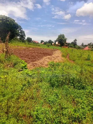 4 Acres of Land in Mbalala Mukono W/T Both Single 3phase Electricity