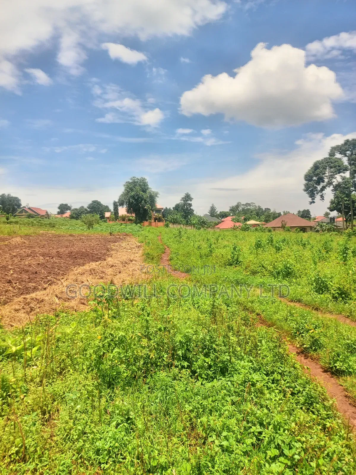 4 Acres of Land in Mbalala Mukono W/T Both Single 3phase Electricity
