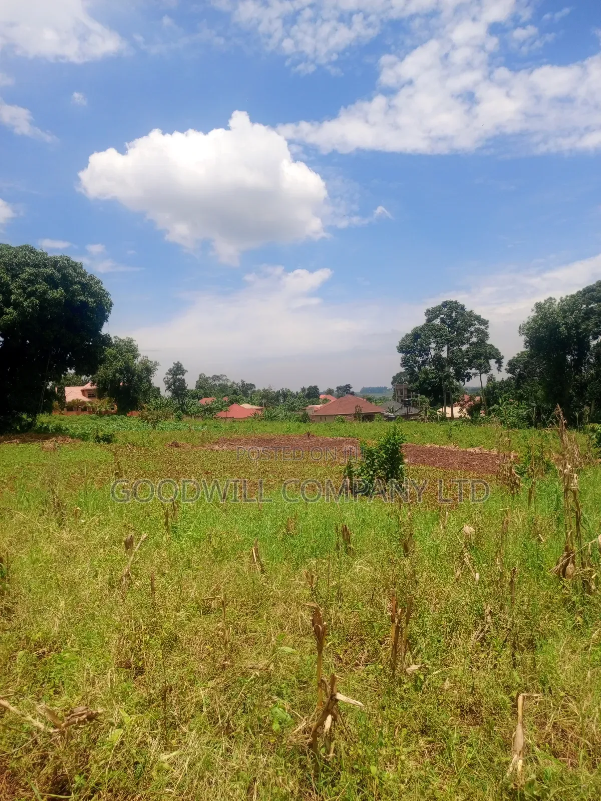 4 Acres of Land in Mbalala Mukono W/T Both Single 3phase Electricity