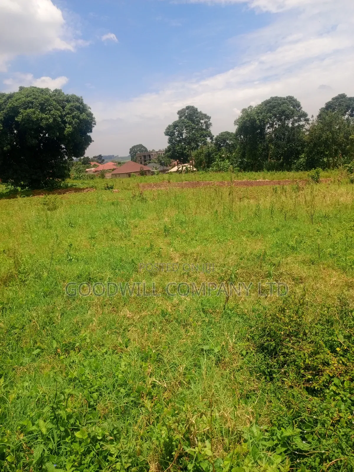 4 Acres of Land in Mbalala Mukono W/T Both Single 3phase Electricity