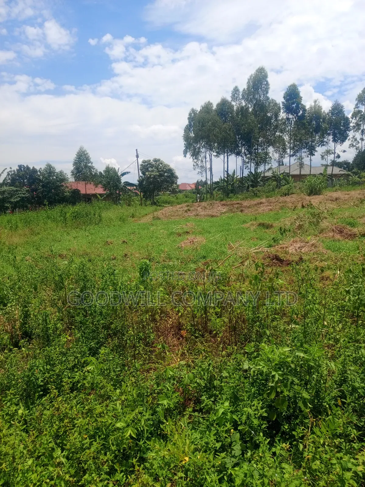 4 Acres of Land in Mbalala Mukono W/T Both Single 3phase Electricity