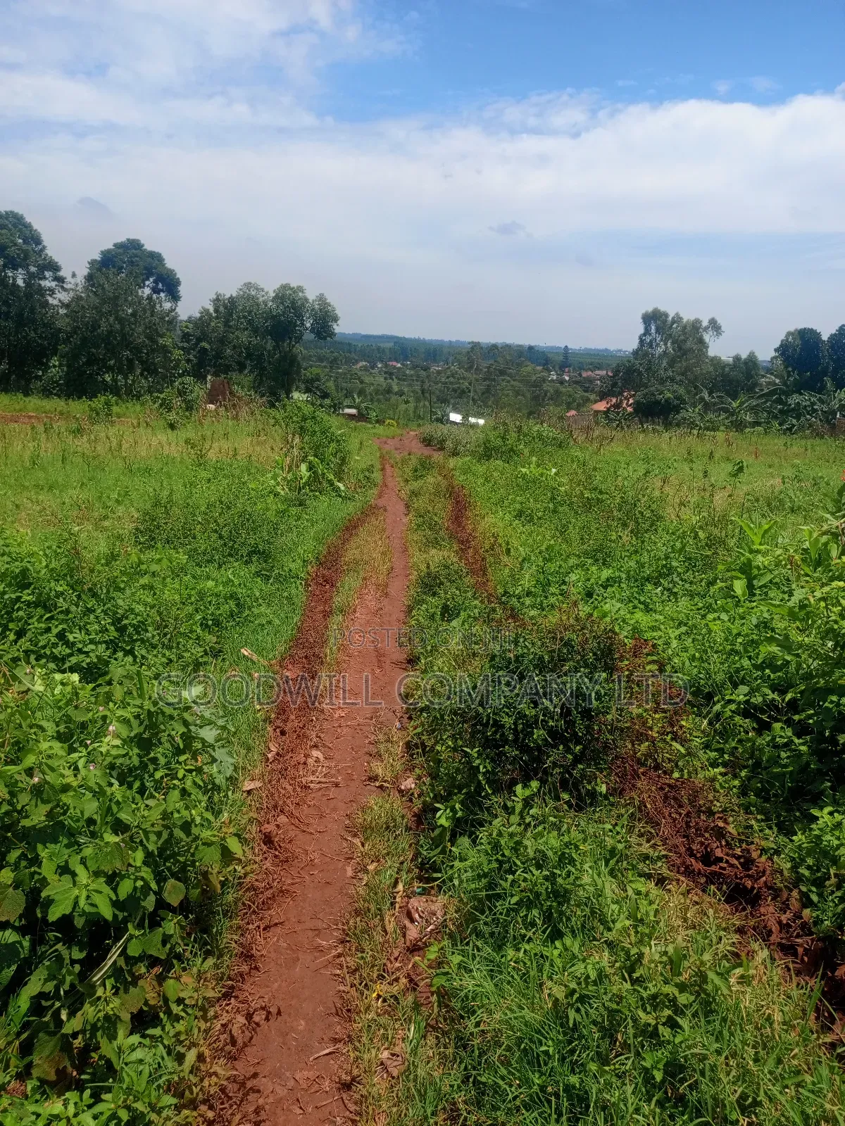 4 Acres of Land in Mbalala Mukono W/T Both Single 3phase Electricity