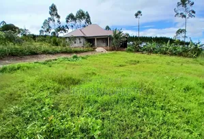 Prime Plots for Sale at Mpigi~Senene Along Masaka Road.