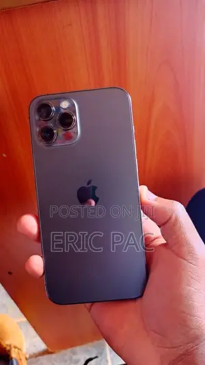 Apple iPhone 12 Pro Max 128 GB Gray