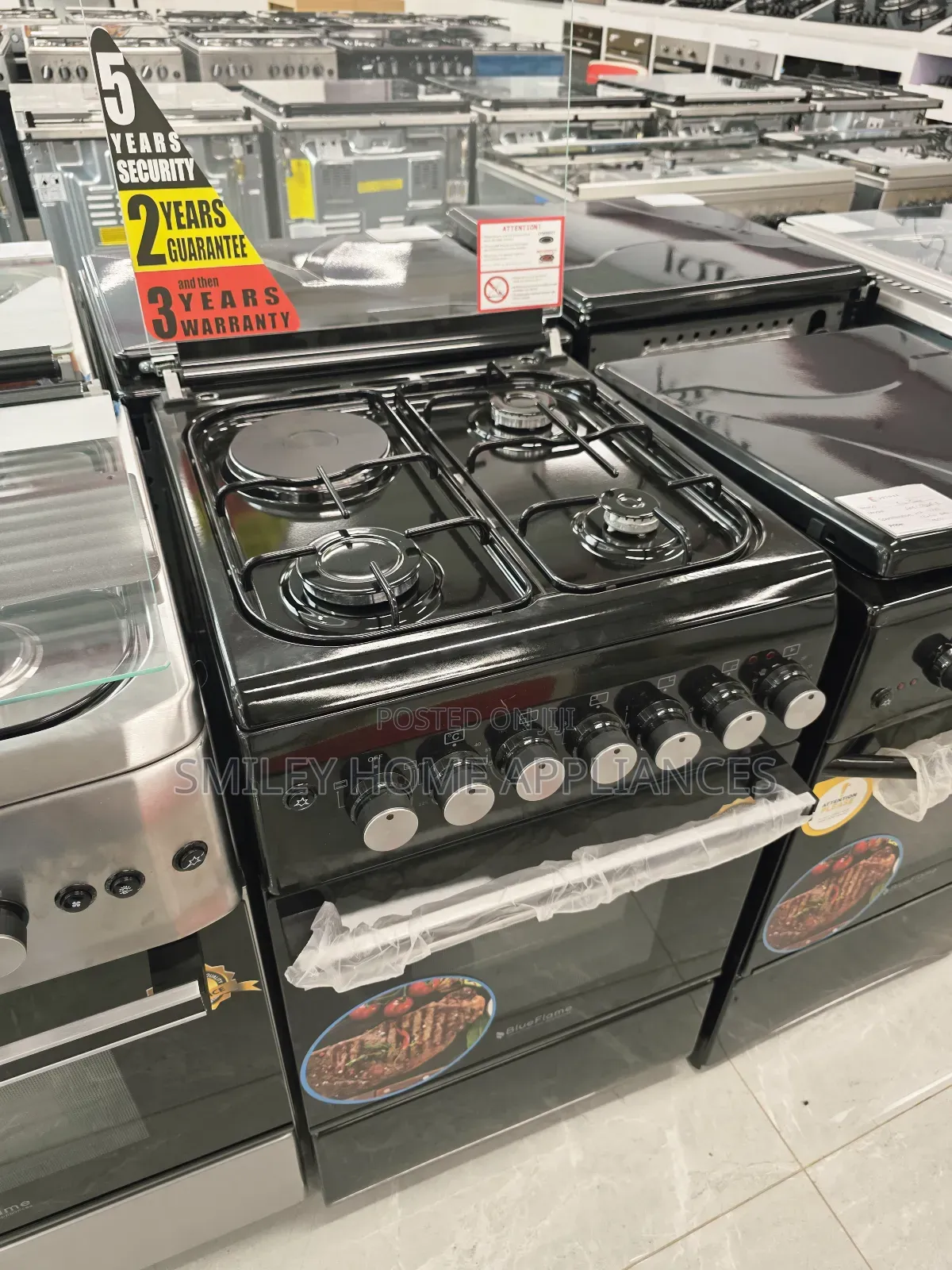 Blueflame 50cm*60cm(3+1) Electric Cooker Oven Black Oven at 20% Discount