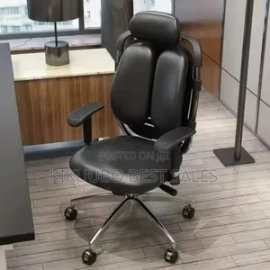 Orthopedic Office Chair / Dual-Back Chair