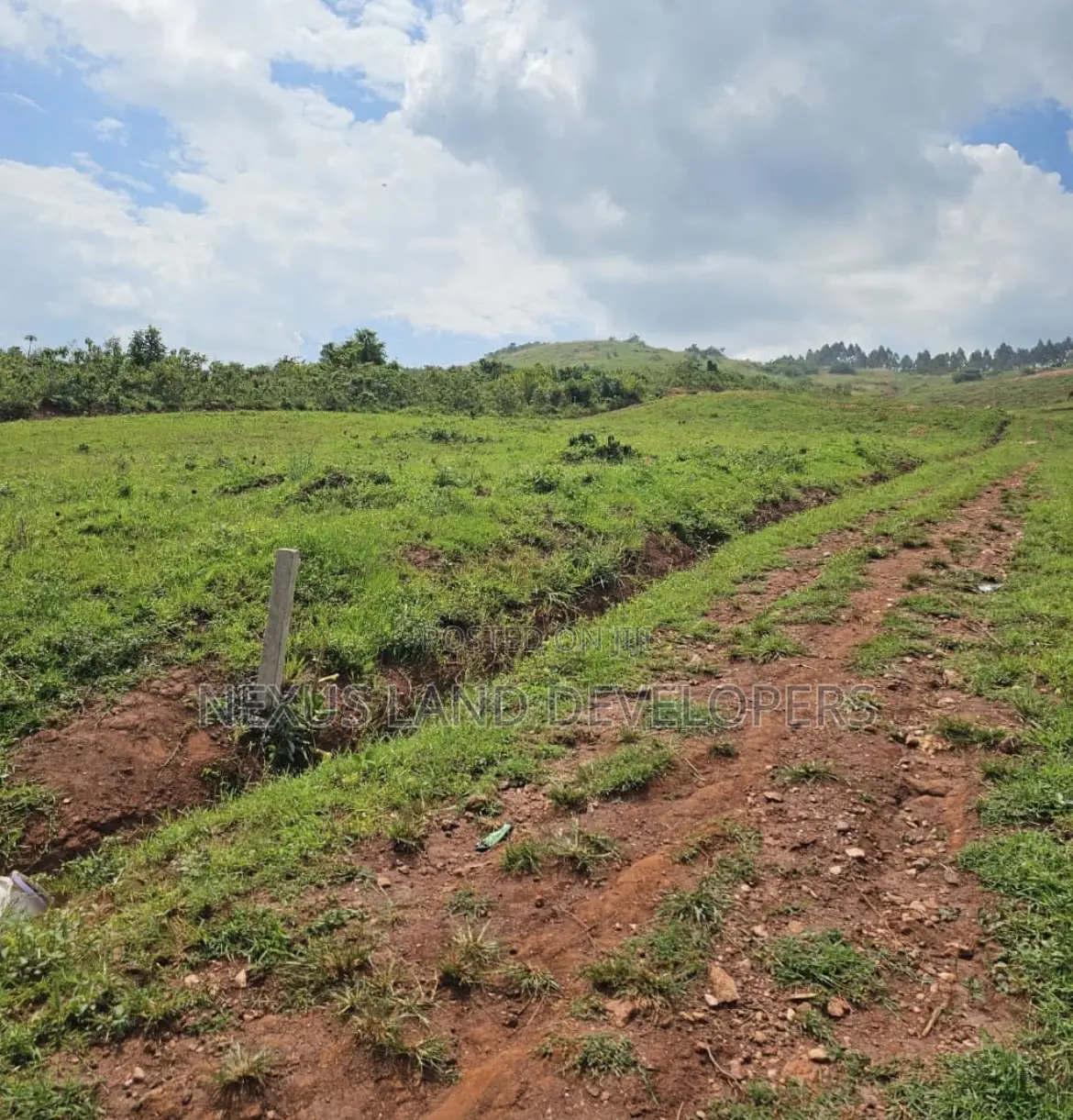 Nakawuka Estate