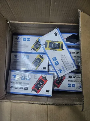 E-Fast 24v Battery Charger for Car and Solar Battery
