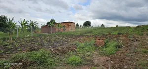 Namayumba Agreement Plot for Sale (Kabaka Land)