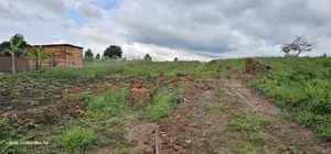 Namayumba Agreement Plot for Sale (Kabaka Land)