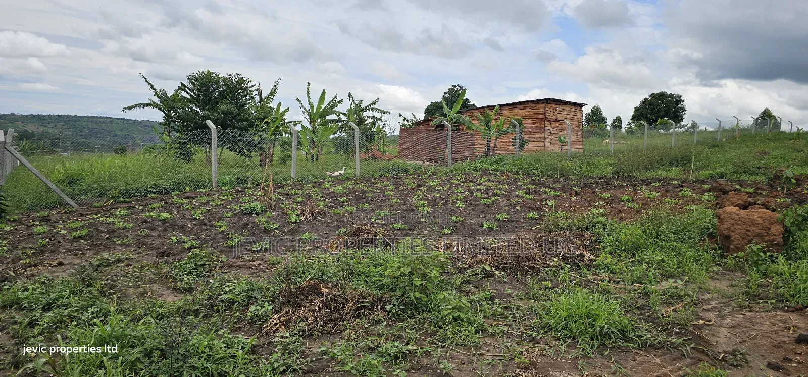 Cheap Plots for Sale at Namayumba