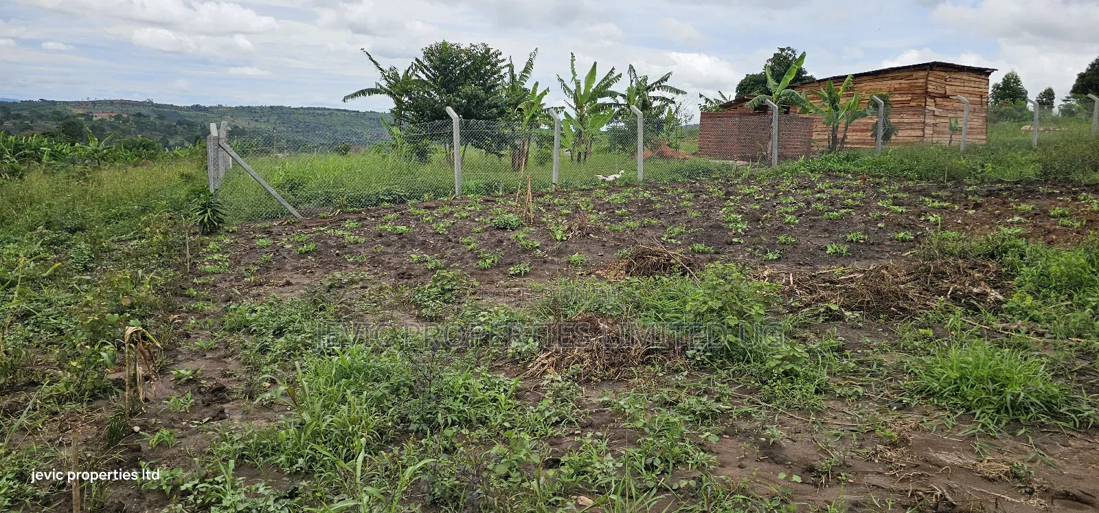 Cheap Plots for Sale at Namayumba