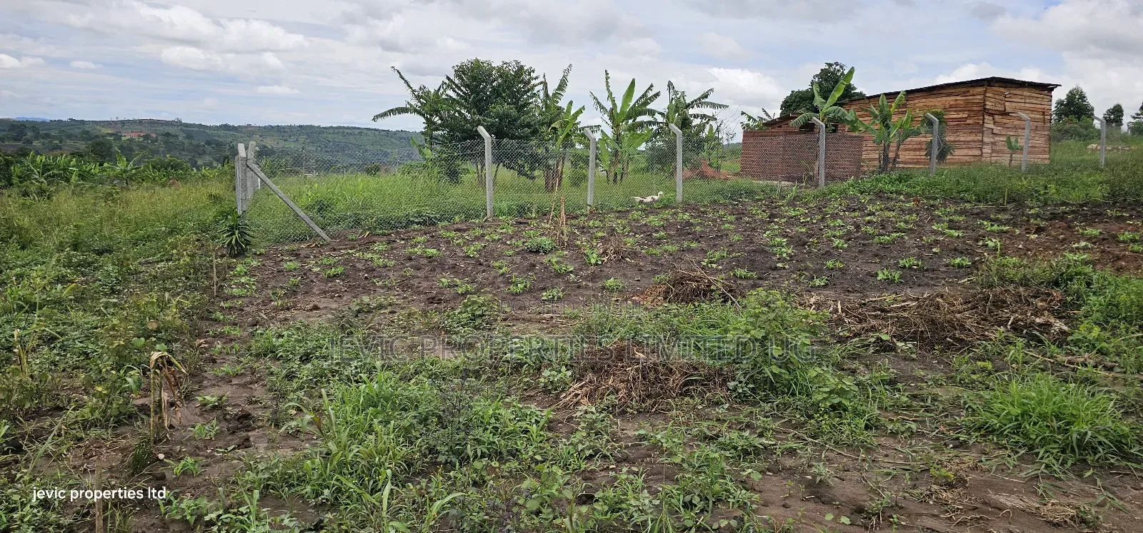 Cheap Plots for Sale at Namayumba
