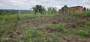 Cheap Plots for Sale at Namayumba