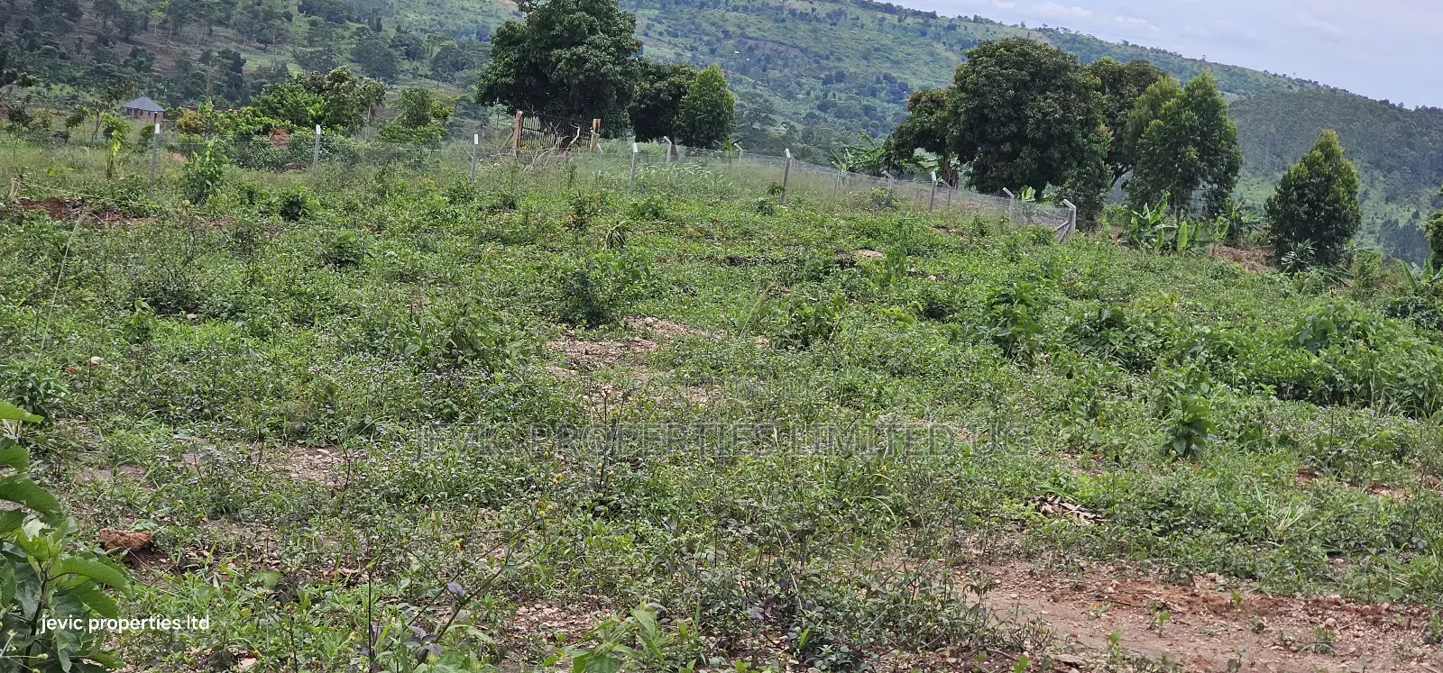 Cheap Plots for Sale at Namayumba