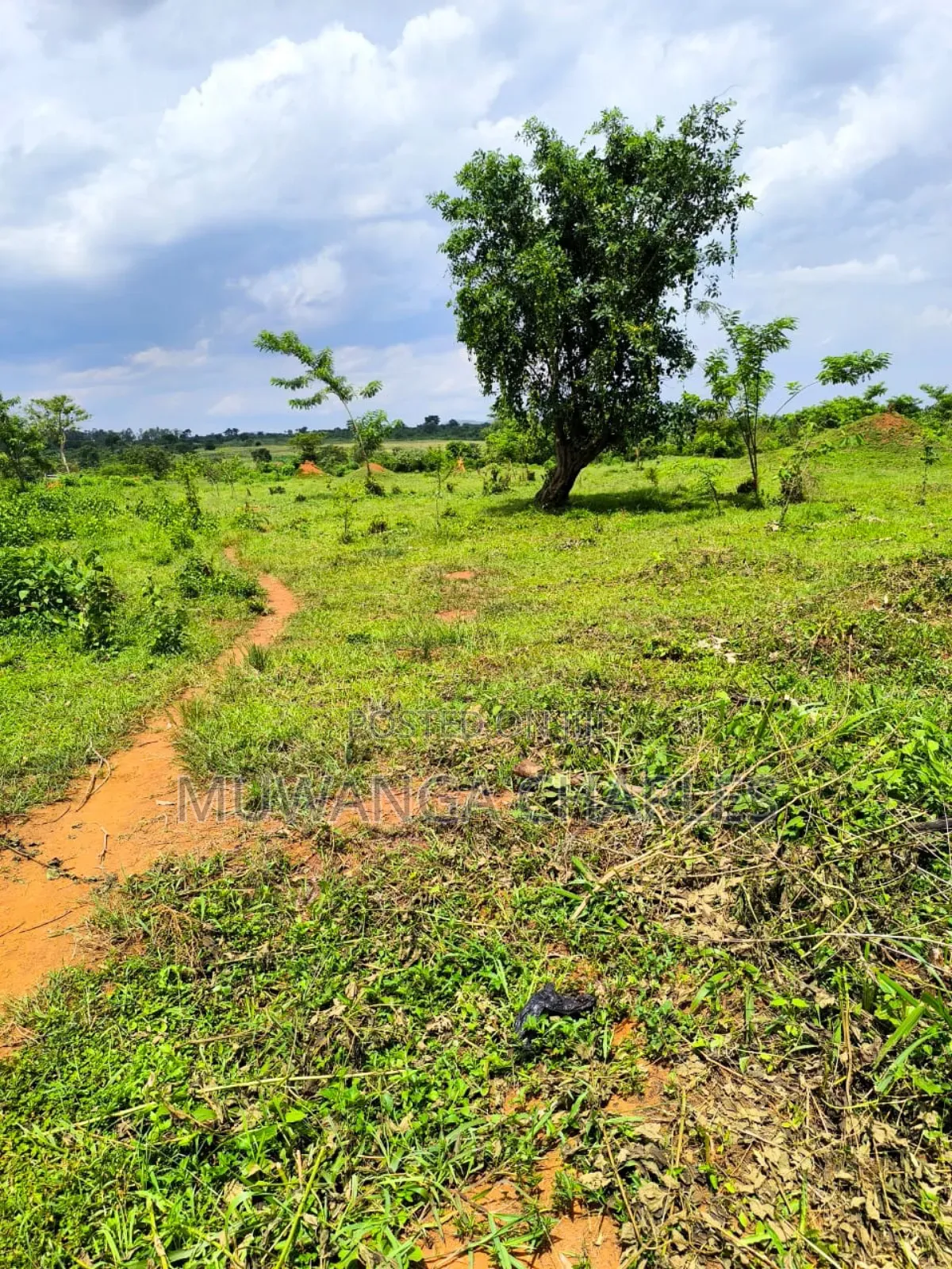 200acres of Land on Sale in Nakasongola