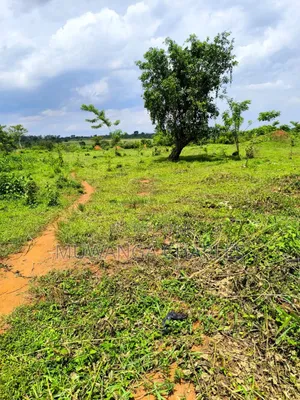 200acres of Land on Sale in Nakasongola