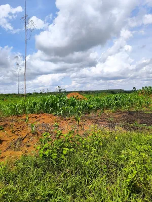 200acres of Land on Sale in Nakasongola