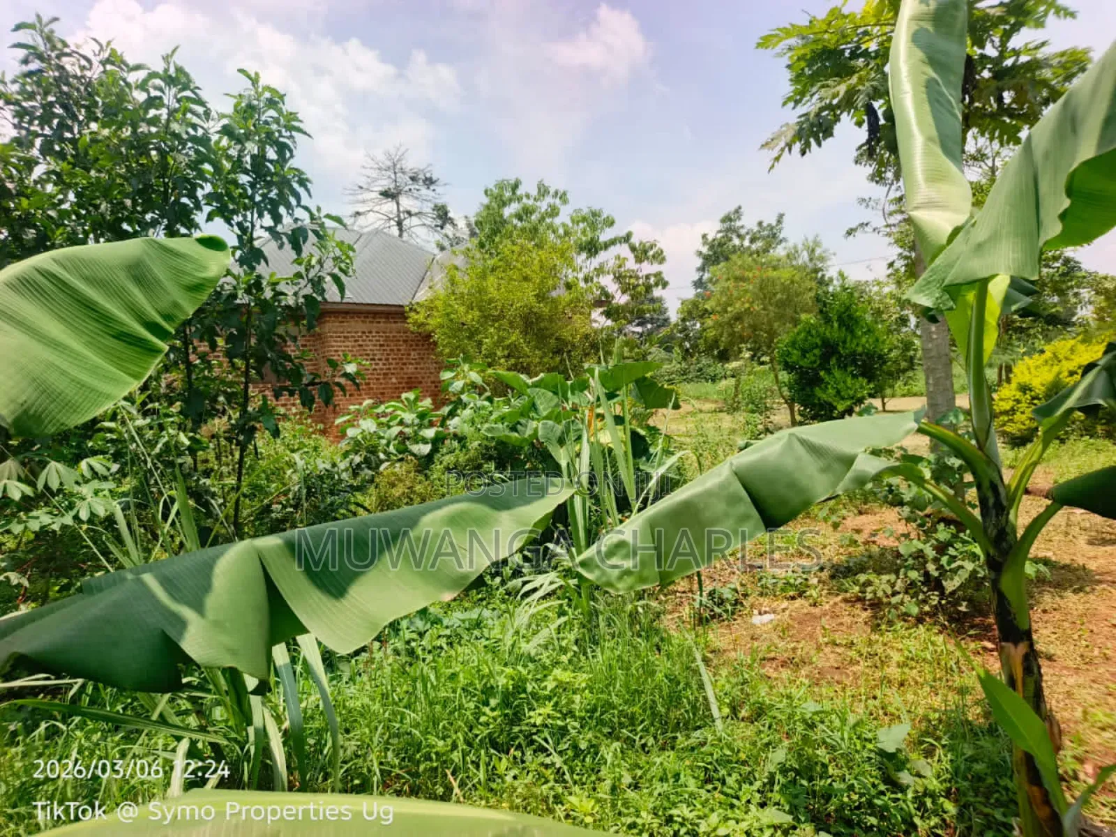 200acres of Land on Sale in Nakasongola