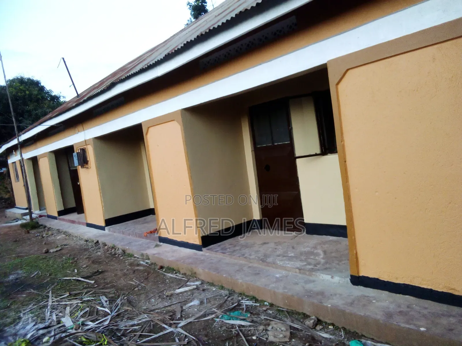 Painting and House Renovation