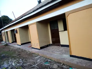 Painting and House Renovation