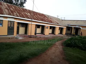 Painting and House Renovation