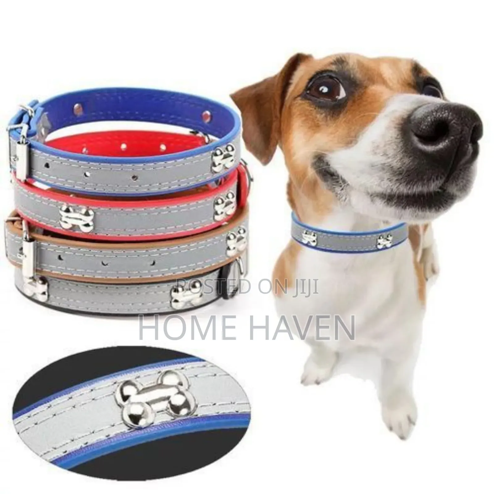 Adjustable Dog Collar