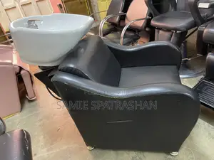 Executive Hair Wash Basin