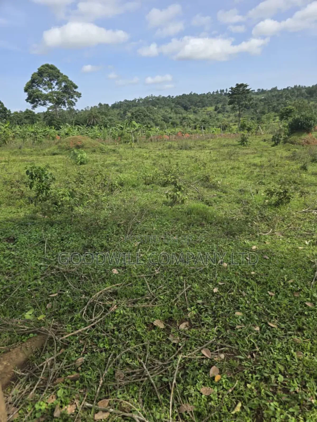 9 Acres of Land in Nkokonjeru Buikwe