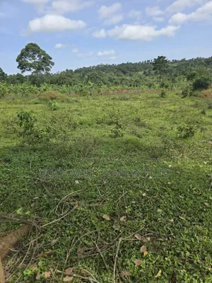 9 Acres of Land in Nkokonjeru Buikwe