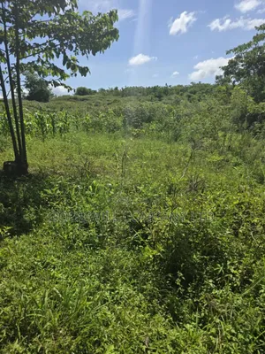 9 Acres of Land in Nkokonjeru Buikwe