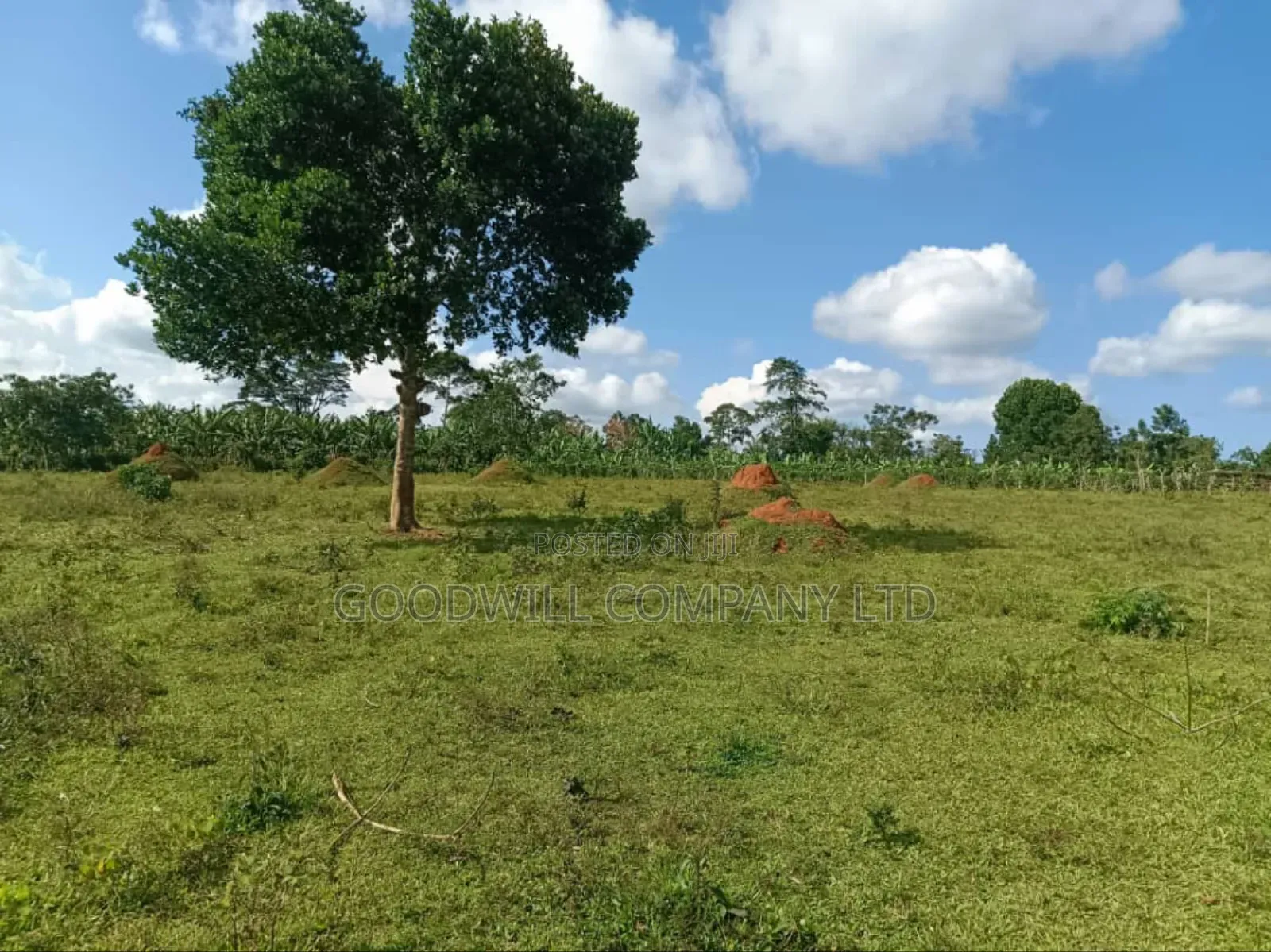 9 Acres of Land in Nkokonjeru Buikwe