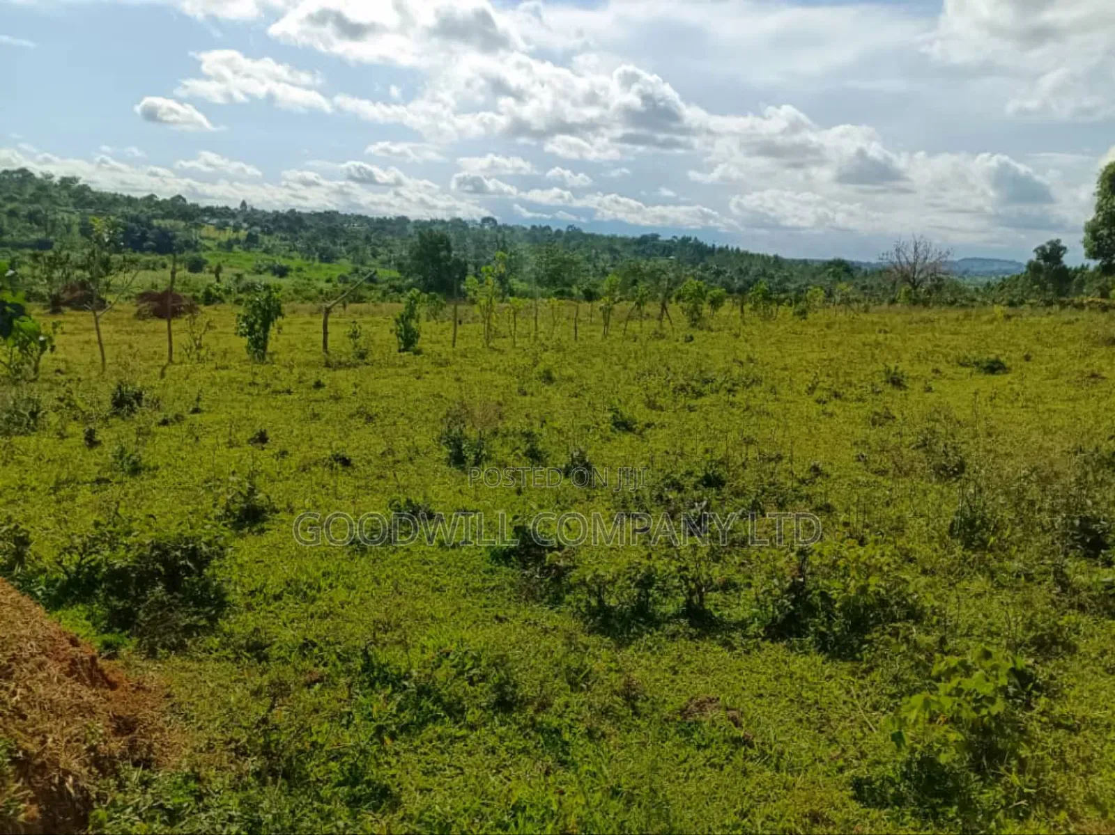 9 Acres of Land in Nkokonjeru Buikwe