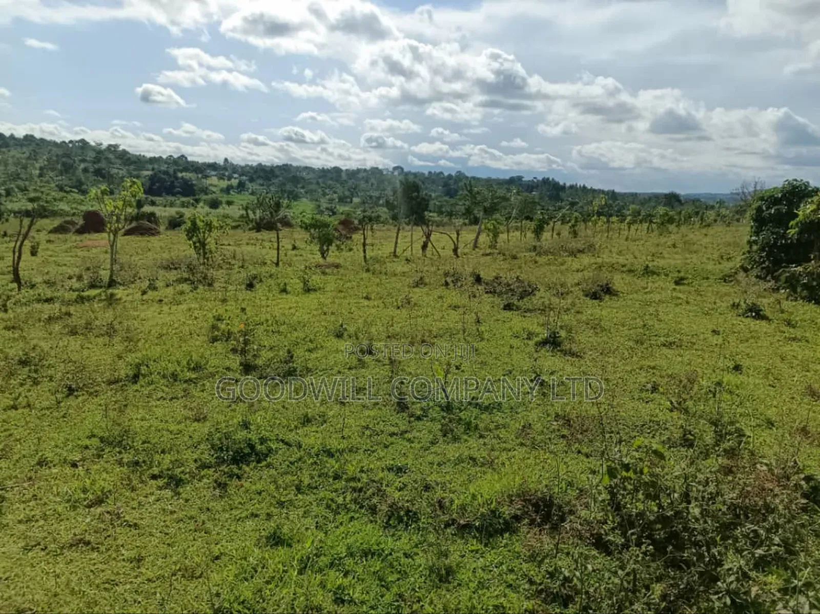 9 Acres of Land in Nkokonjeru Buikwe