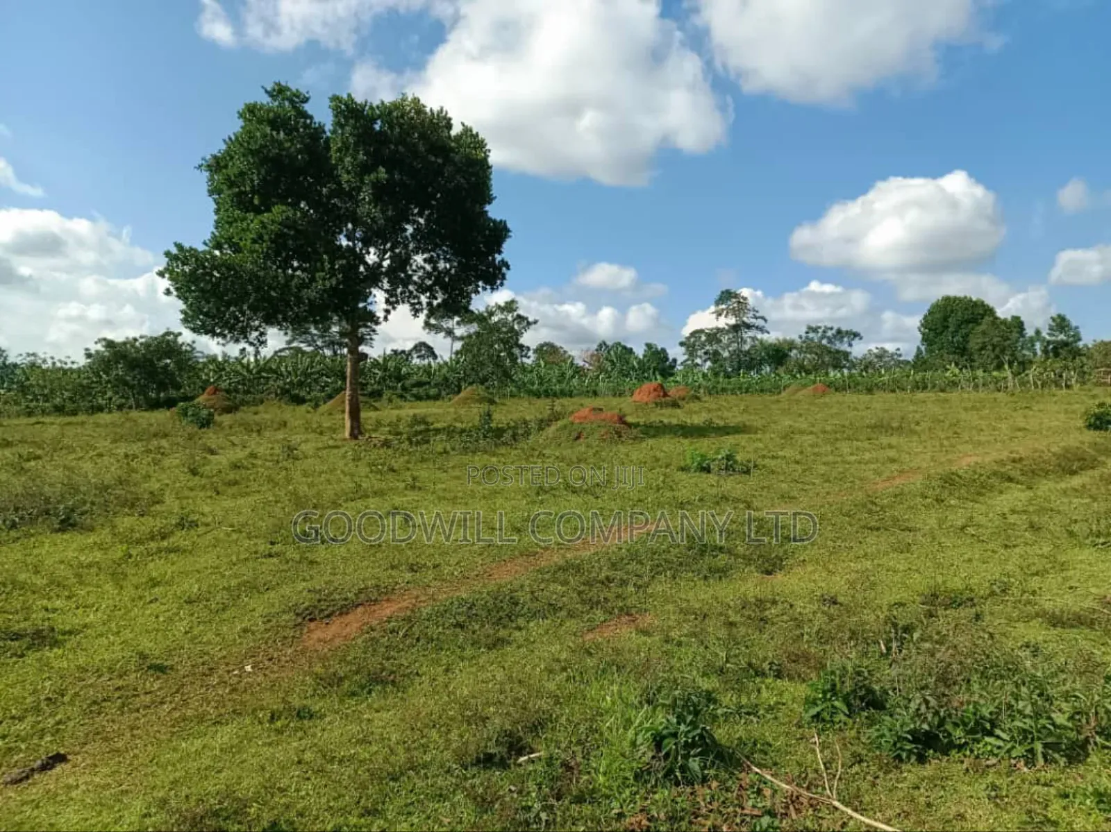 9 Acres of Land in Nkokonjeru Buikwe