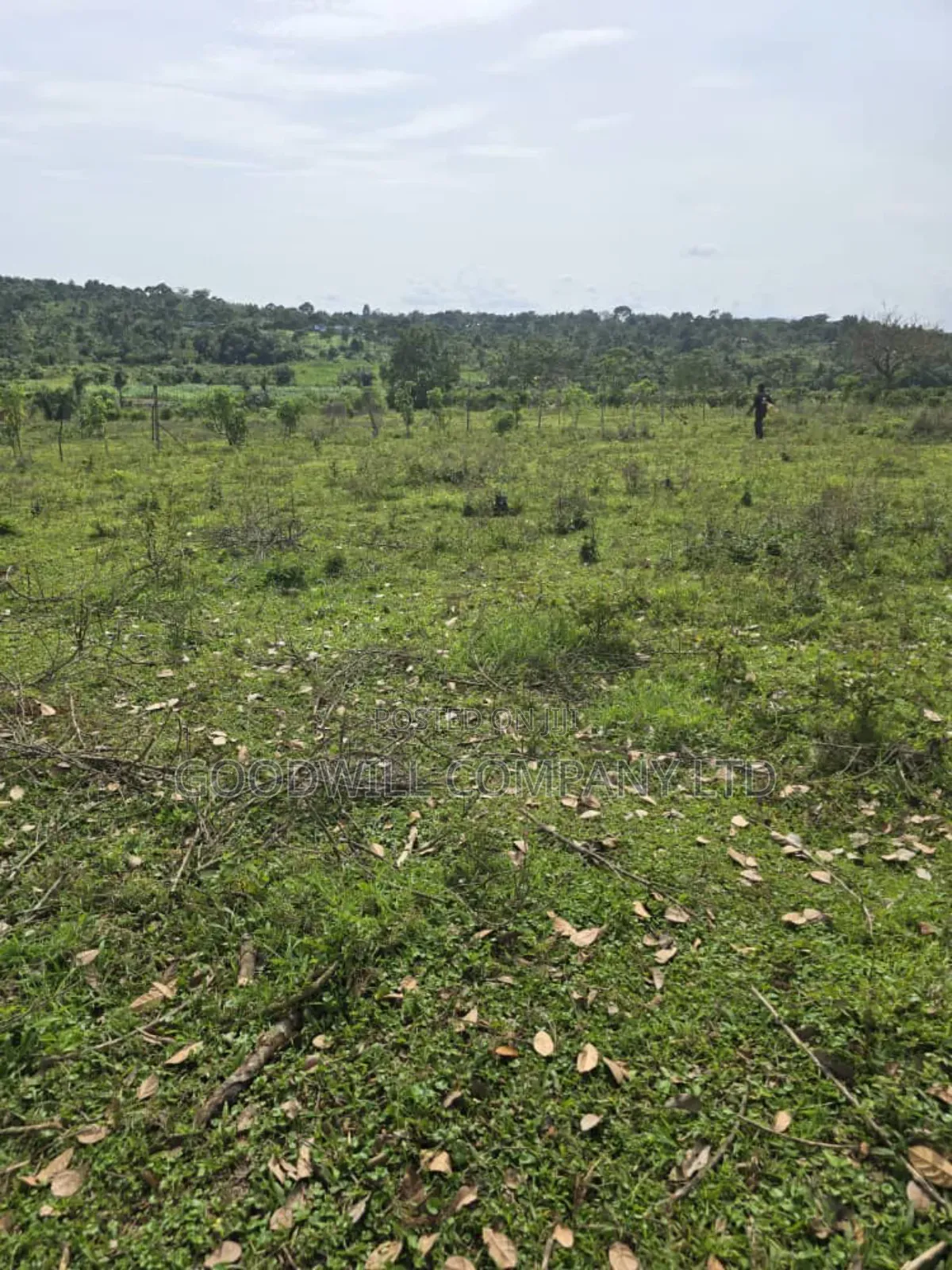 9 Acres of Land in Nkokonjeru Buikwe