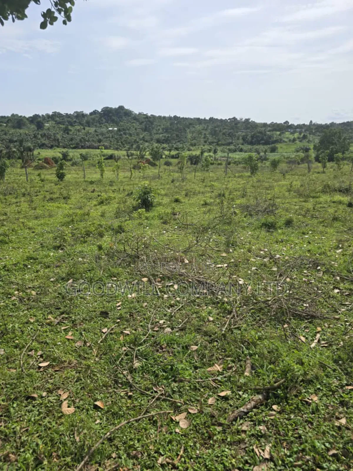 9 Acres of Land in Nkokonjeru Buikwe