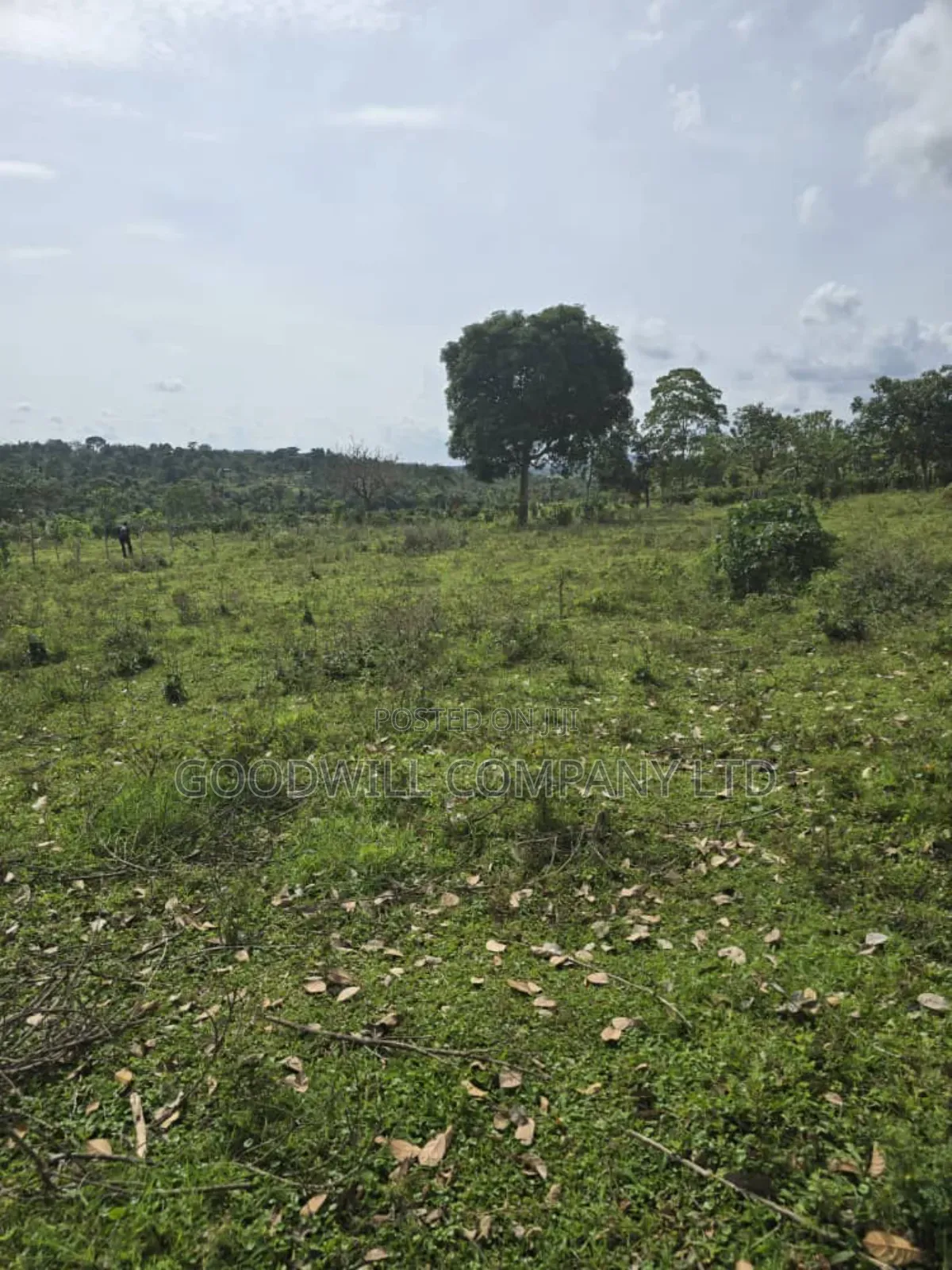 9 Acres of Land in Nkokonjeru Buikwe