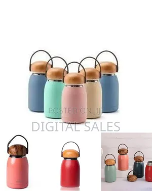 Compact 300ml Insulated Water Bottle With Wooden Lid