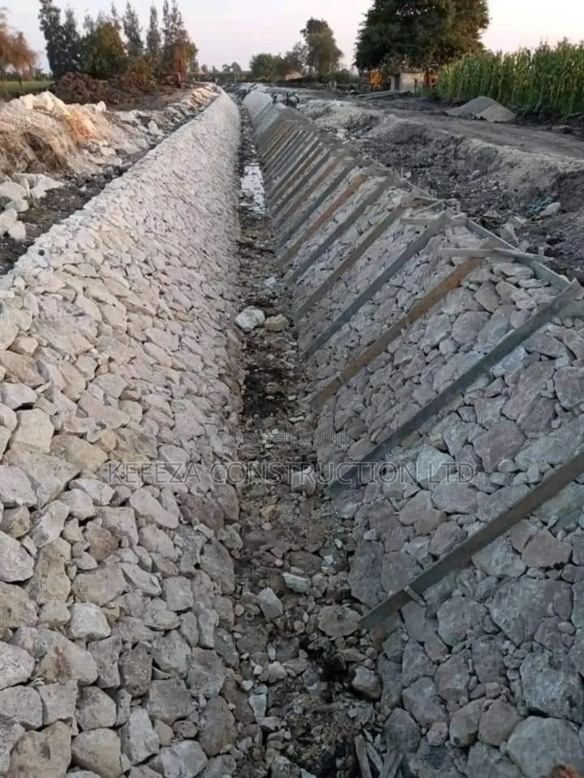 Trech Retaining