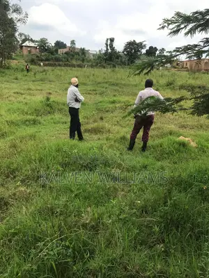 50 _100 Plot