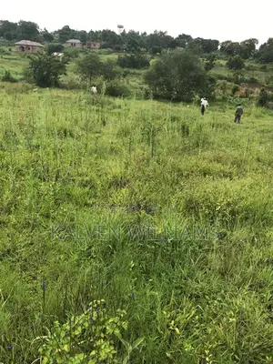 50 _100 Plot