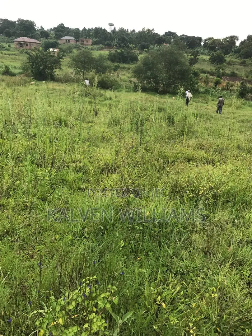 50 _100 Plot