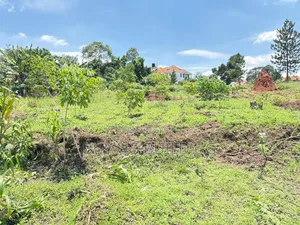 4 Acres of Land for Sale Located in Kira at 300m Per Acre Private Mailo
