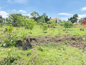 4 Acres of Land for Sale Located in Kira at 300m Per Acre Private Mailo