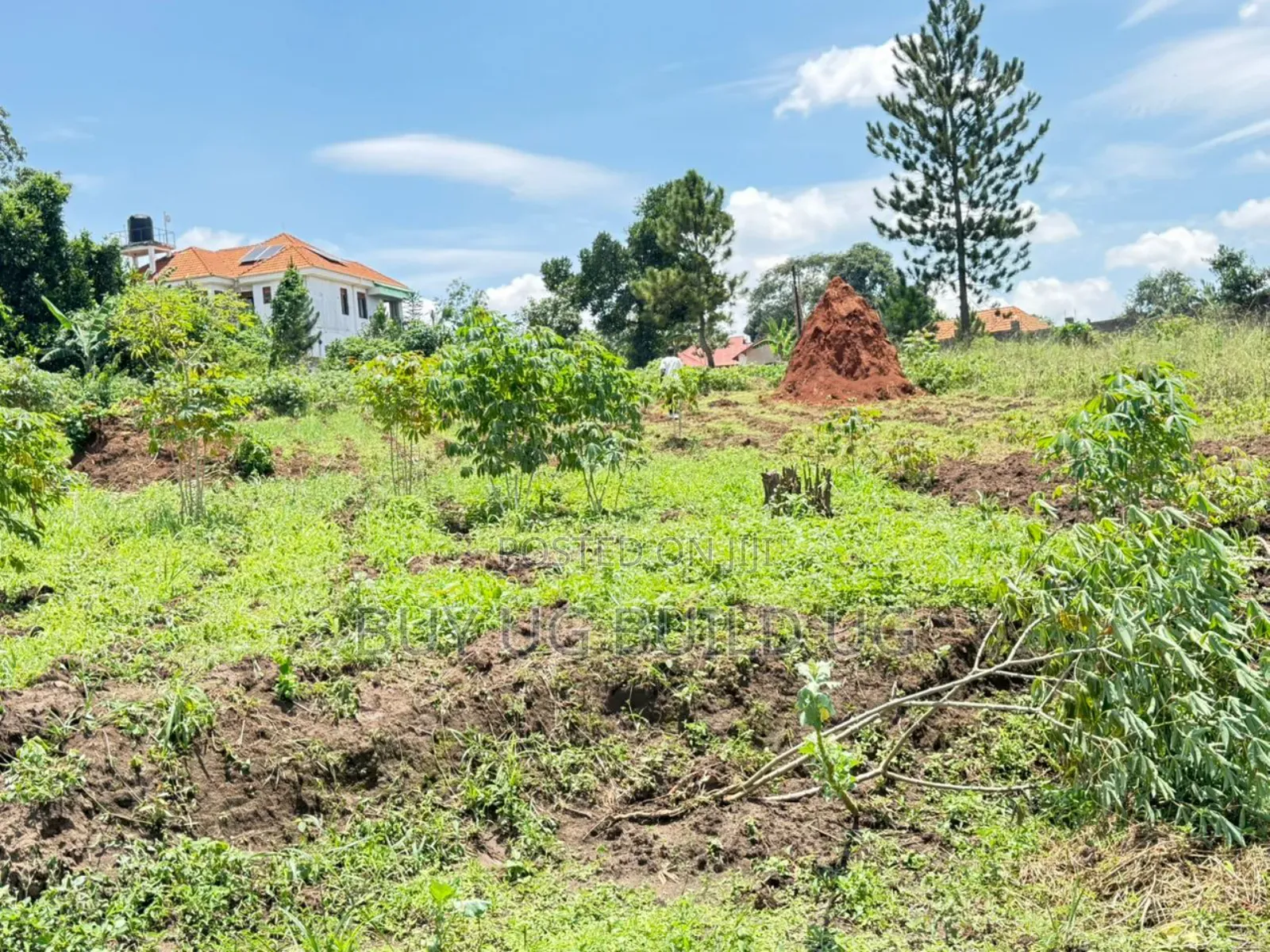 4 Acres of Land for Sale Located in Kira at 300m Per Acre Private Mailo