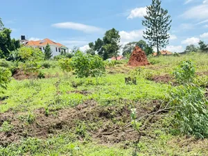 4 Acres of Land for Sale Located in Kira at 300m Per Acre Private Mailo